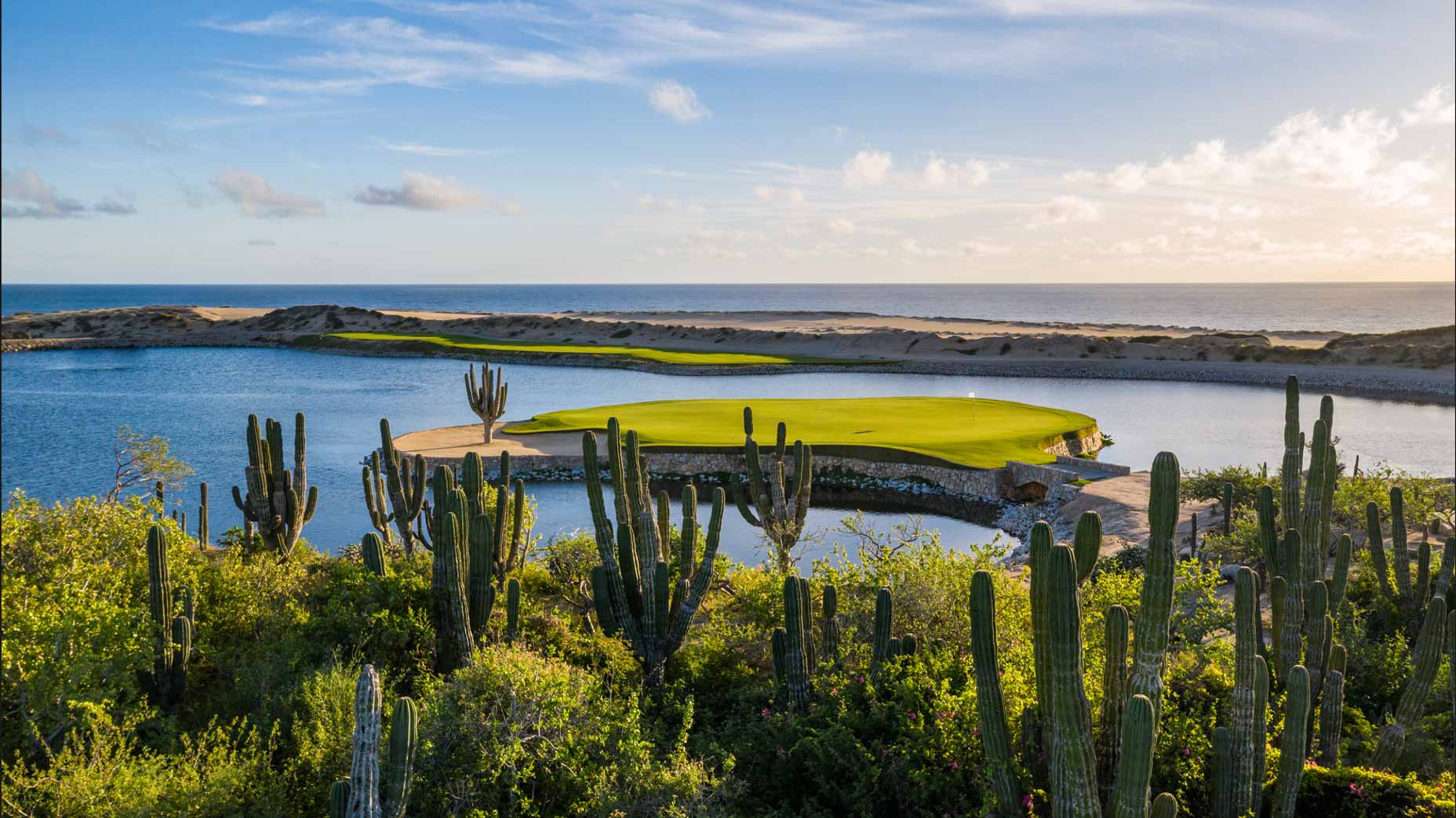 Signature island green at Solmar Pacific Dunes